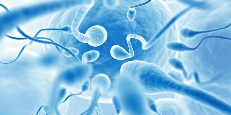 Ejaculação prematura em homens com prostatite crônica